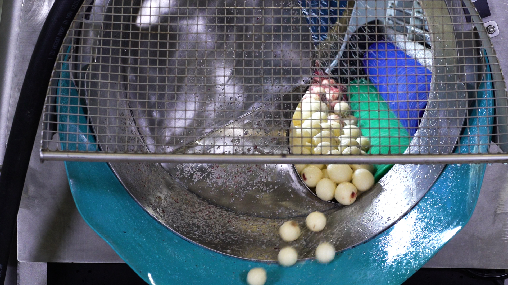 Vanmark 2920 peeler/scrubber/washer for potato chip processing Vanmark 2920 peeler/scrubber/washer for potato chip processing